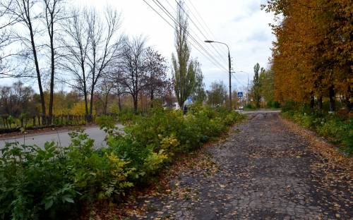 Осень в городе